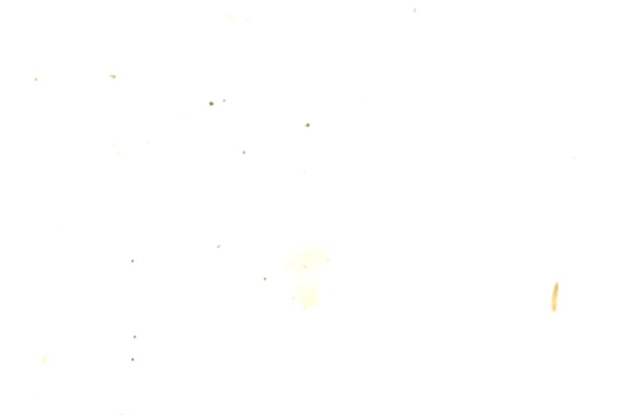 Image 209